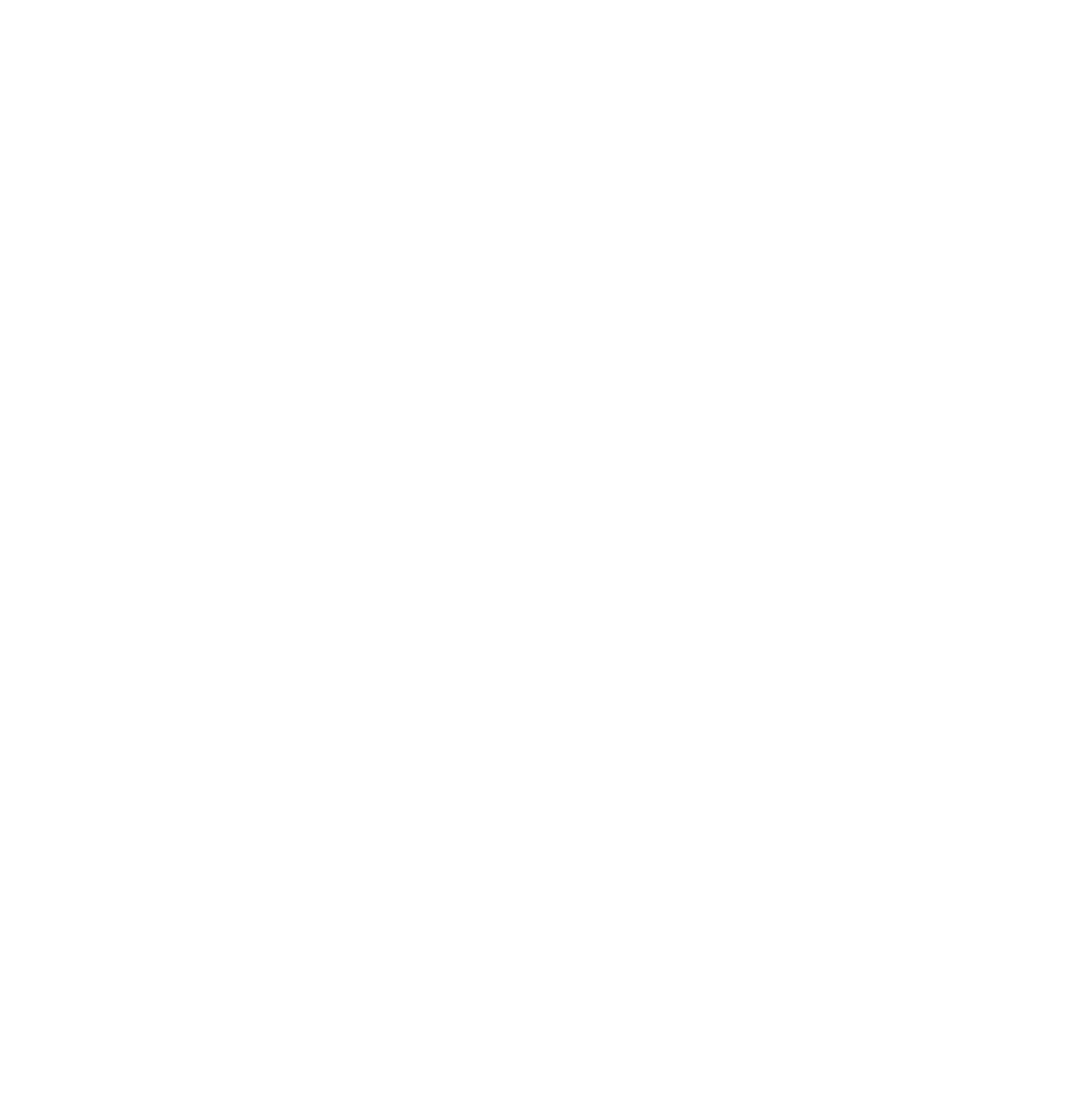 Qubic Inc.