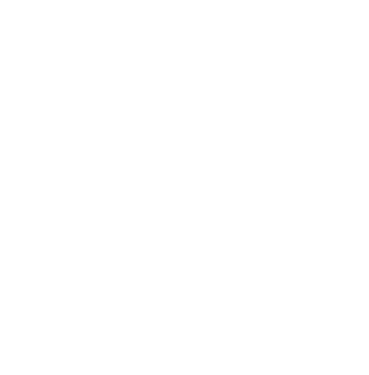 TensorOne Inc.